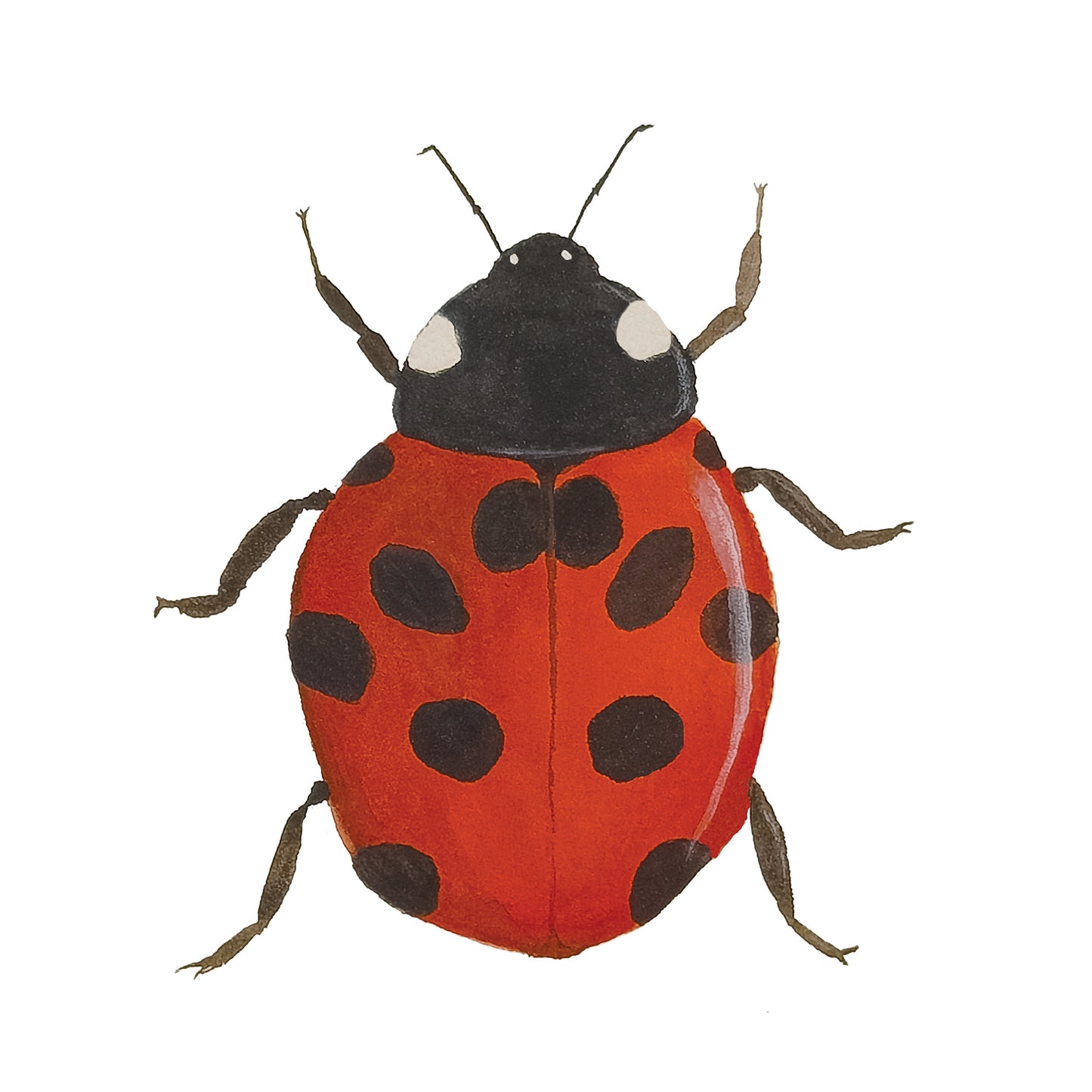 Ladybug - Original Watercolor Painting