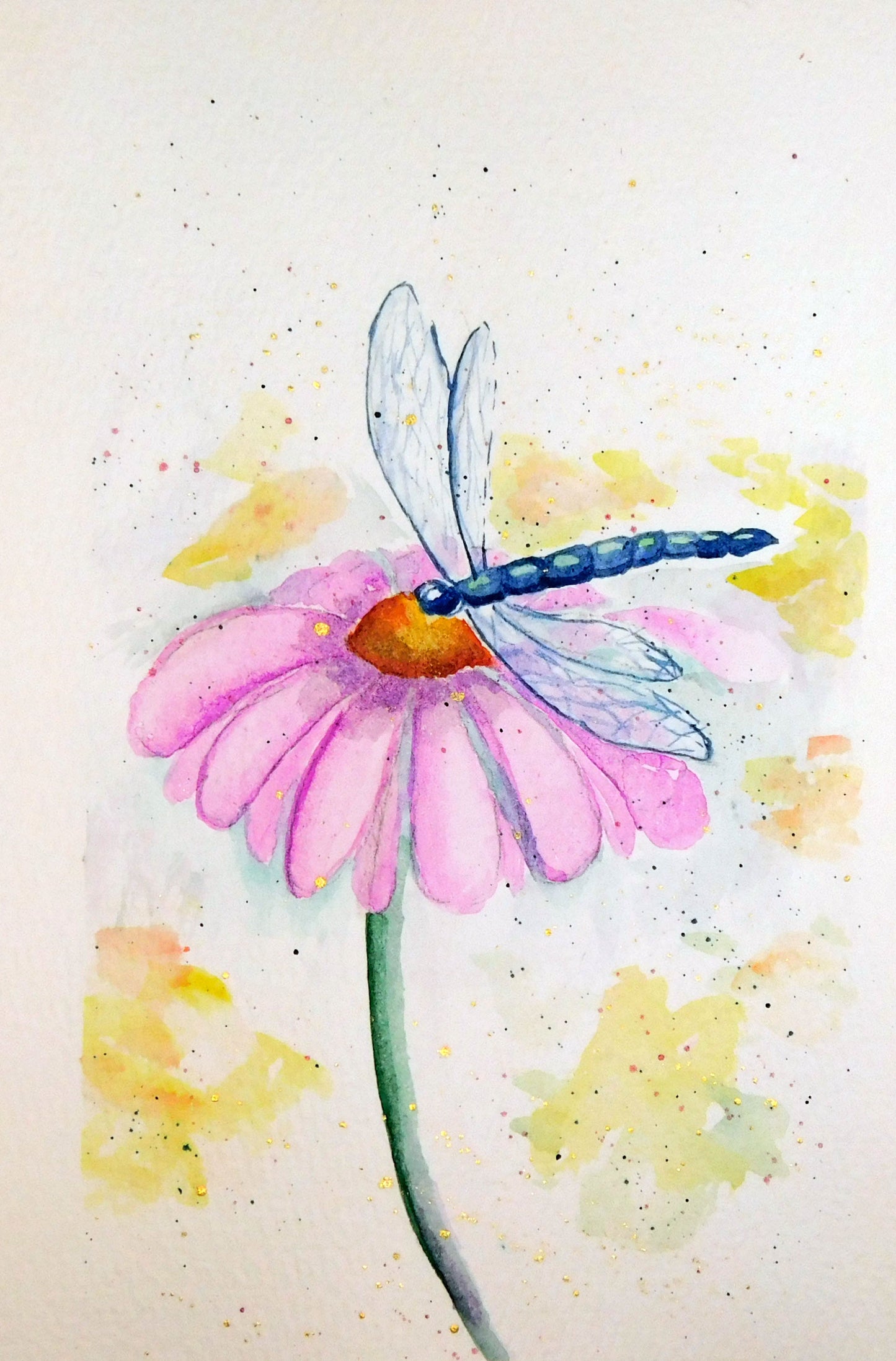 Dragonfly's Rest