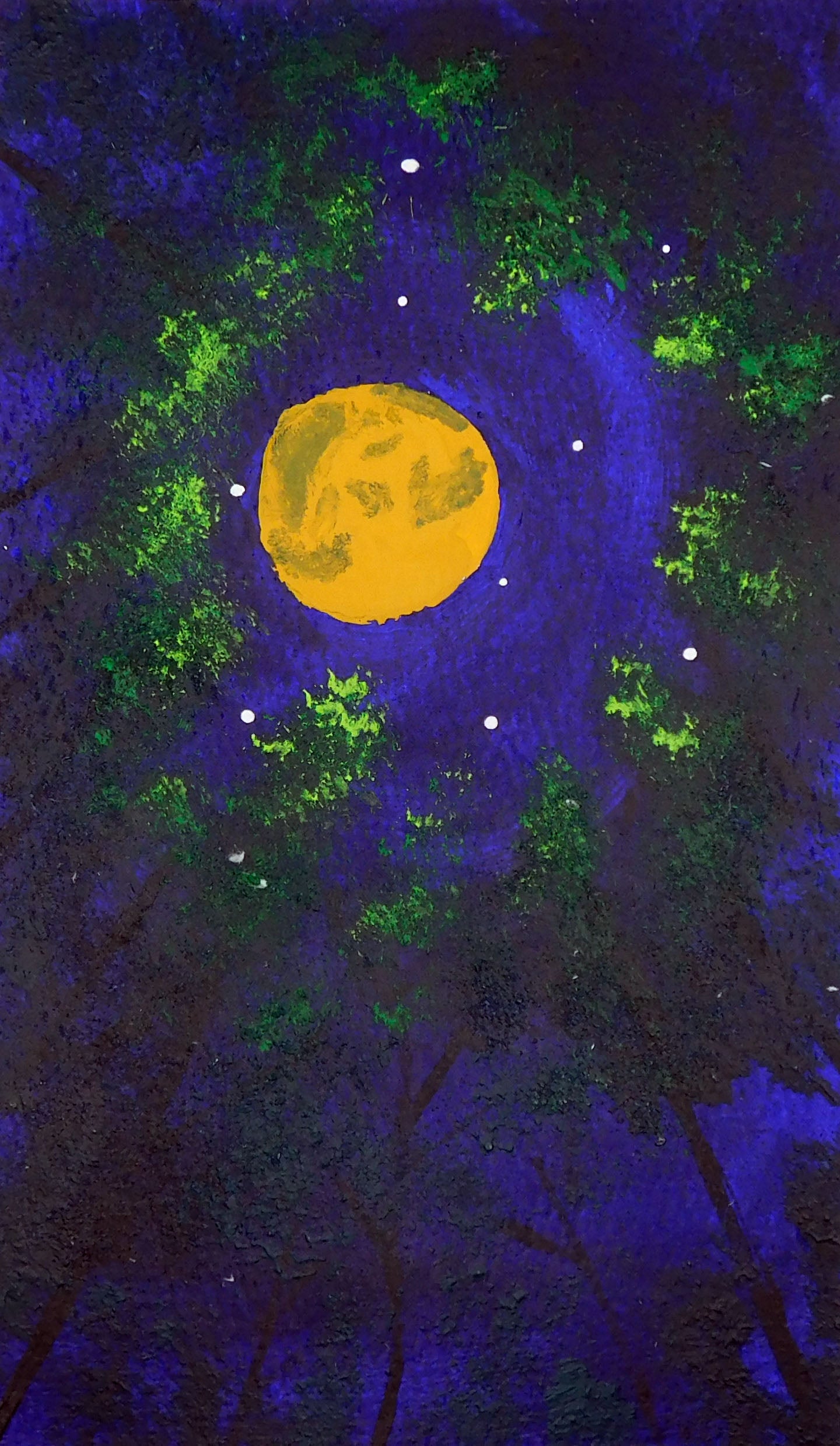Moonlit Canopy
