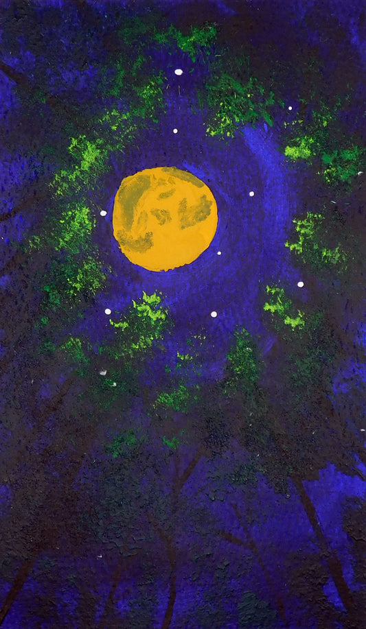 Moonlit Canopy