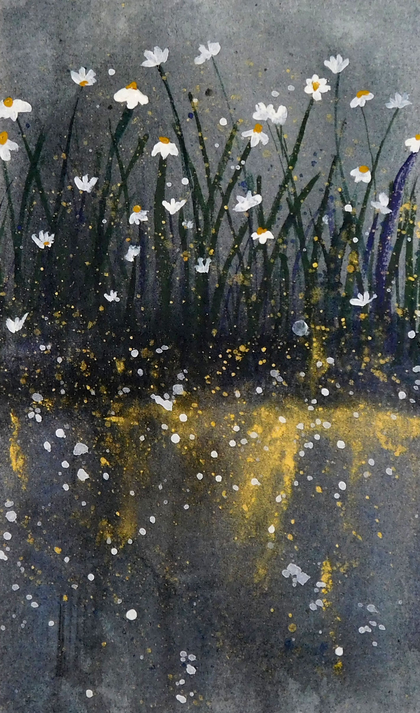 Midnight Meadow