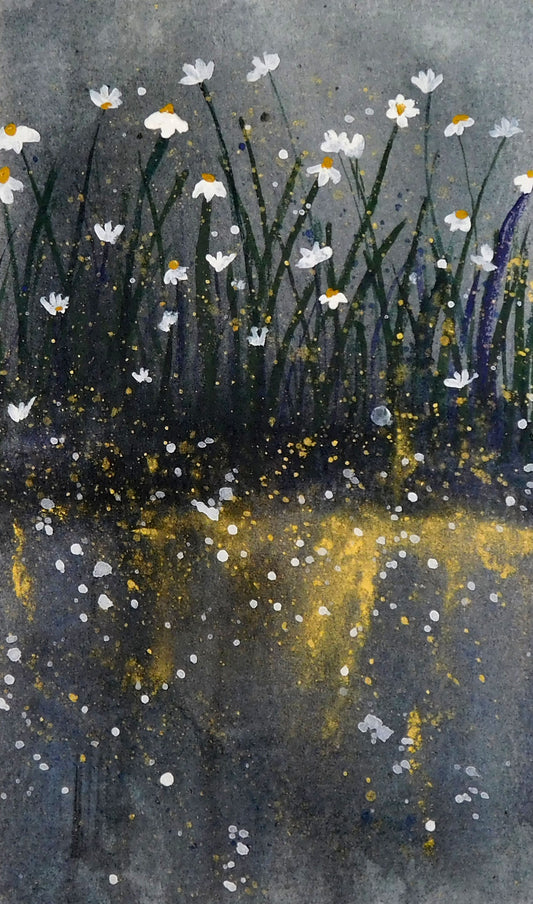 Midnight Meadow