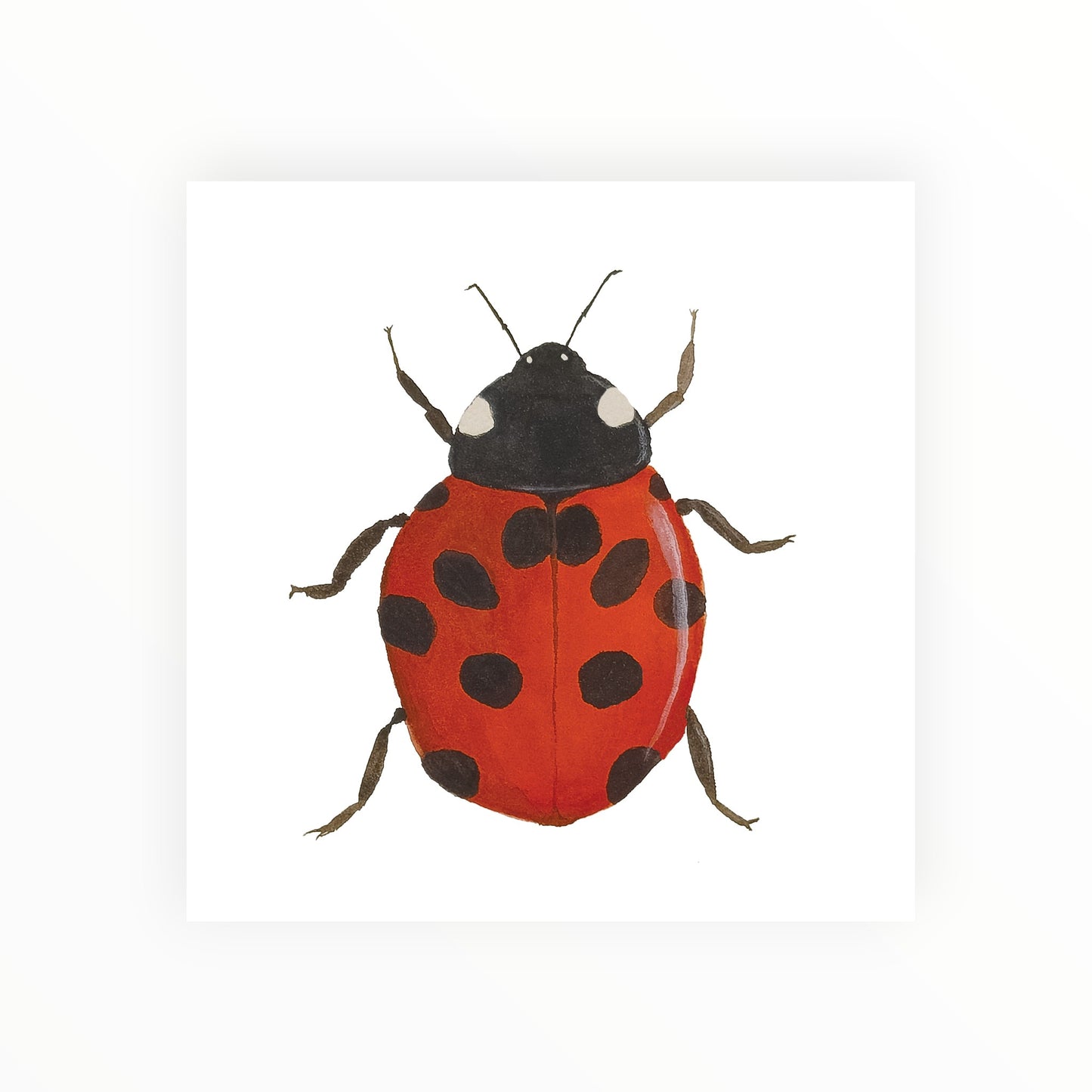 Ladybug - Original Watercolor Painting