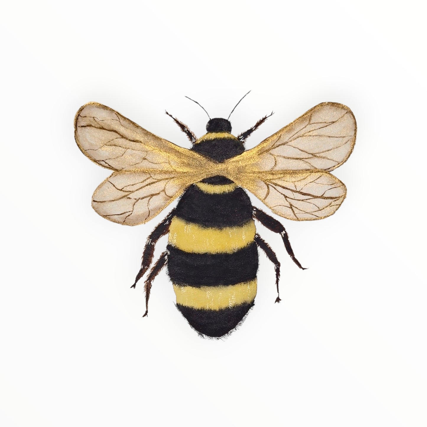 Queen of the Hive - Fine Art Print