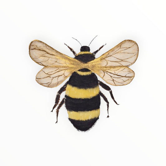 Queen of the Hive - Fine Art Print